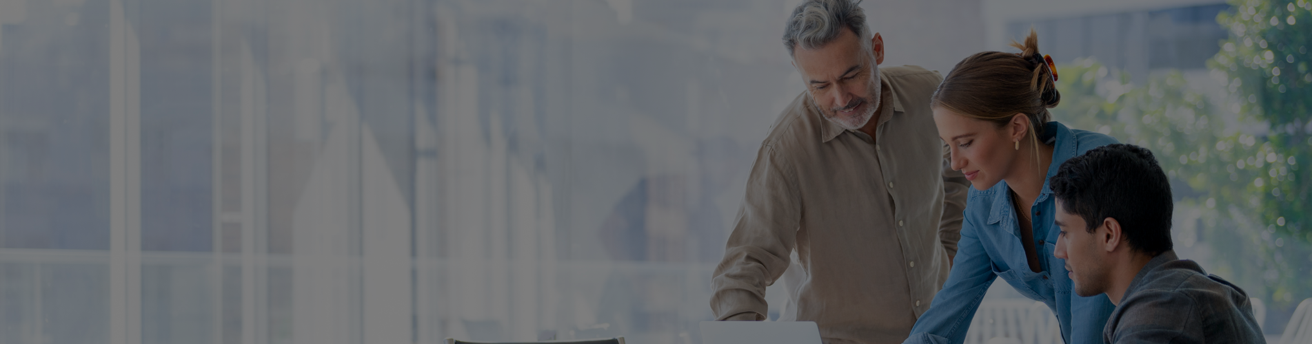 NIST Cybersecurity Professional Training Course in English