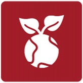 SUSTAINABILITY