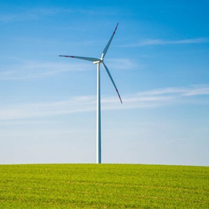 Environmental Risk Assessment
