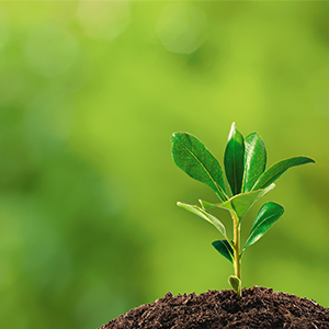 Environmental Emergency Preparedness and Response